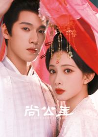 ​尚公主​在线观看_中国大陆_2026